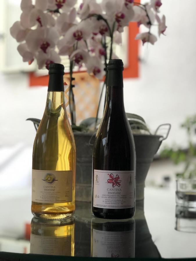 Agriturismo Cantina Morone Guardia Sanframondi ภายนอก รูปภาพ