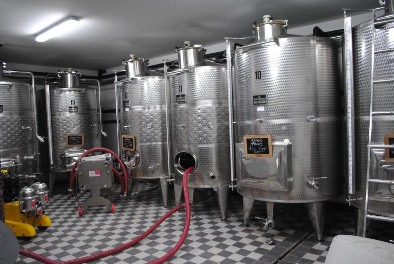 Agriturismo Cantina Morone Guardia Sanframondi ภายนอก รูปภาพ